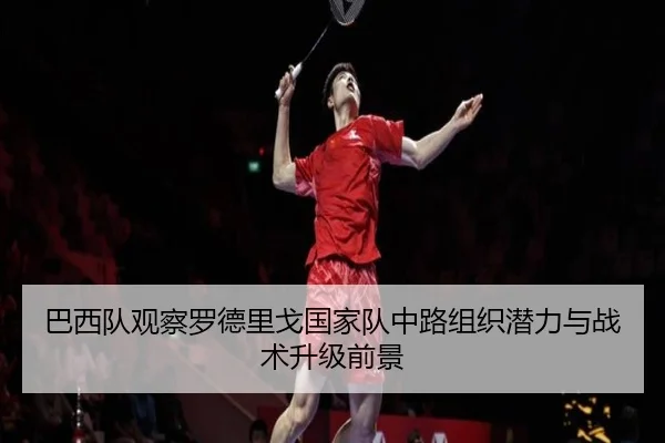 巴西队观察罗德里戈国家队中路组织潜力与战术升级前景